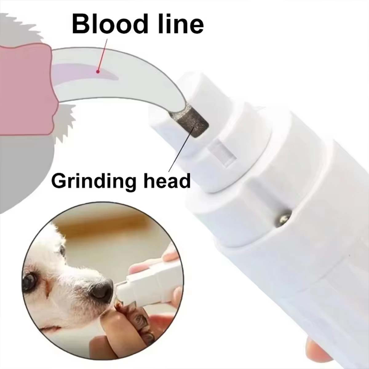 เครื่องเจียรเล็บสัตว์เลี้ยงไฟฟ - Model Kit Clipper บทวิจารณ์และราคา